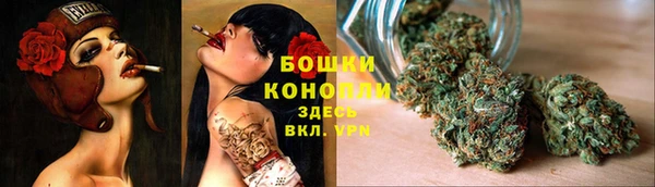 гидропоника Рославль