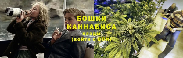 гашик Алексеевка