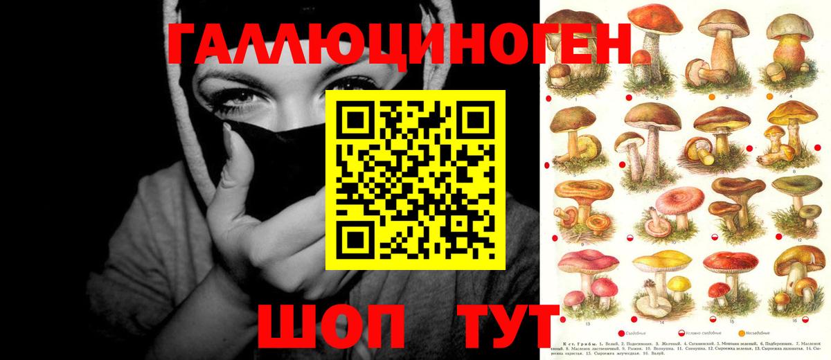 Псилоцибиновые грибы прущие грибы Павлово