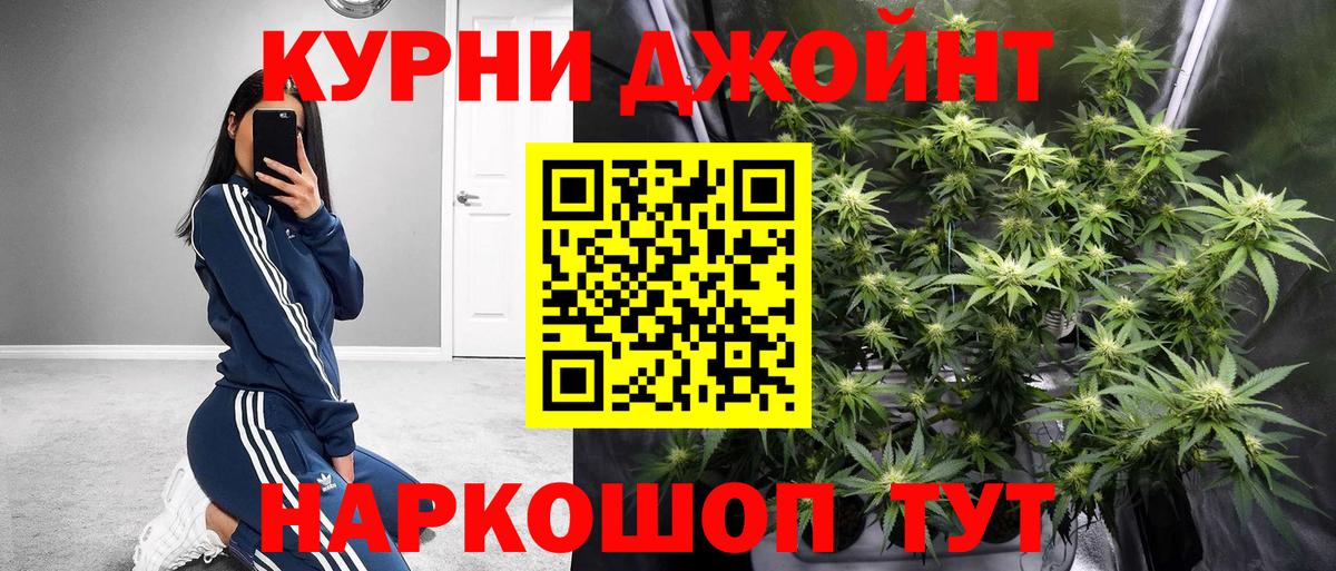 Павлово  Шишки марихуана план  Вход с VPN  Марихуана индика  Каннабис SATIVA & INDICA 